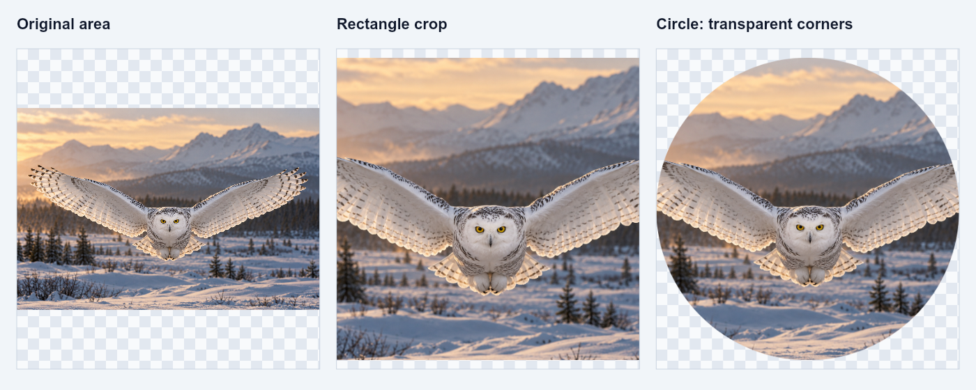 Rectangle and circular crops of the same source. Checkerboard outside the ellipse represents removed, transparent pixels.